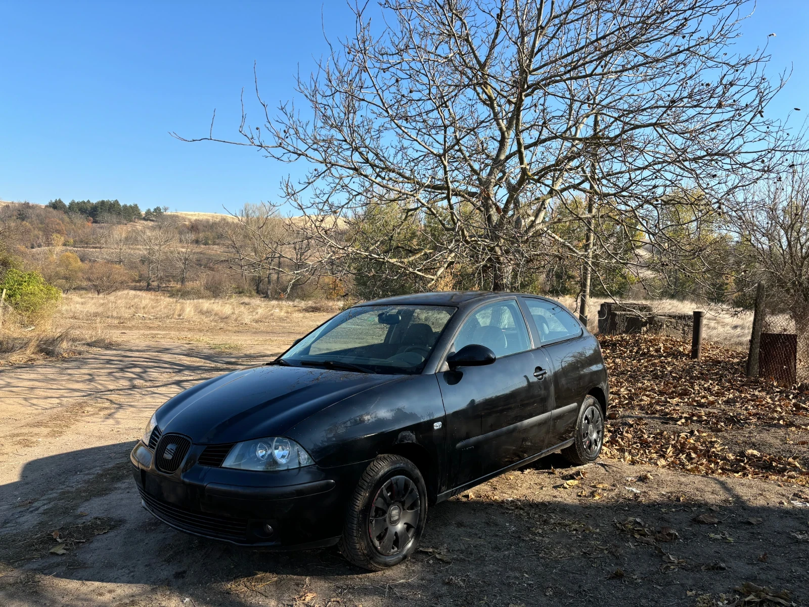 Seat Ibiza 1.9SDI  - изображение 3