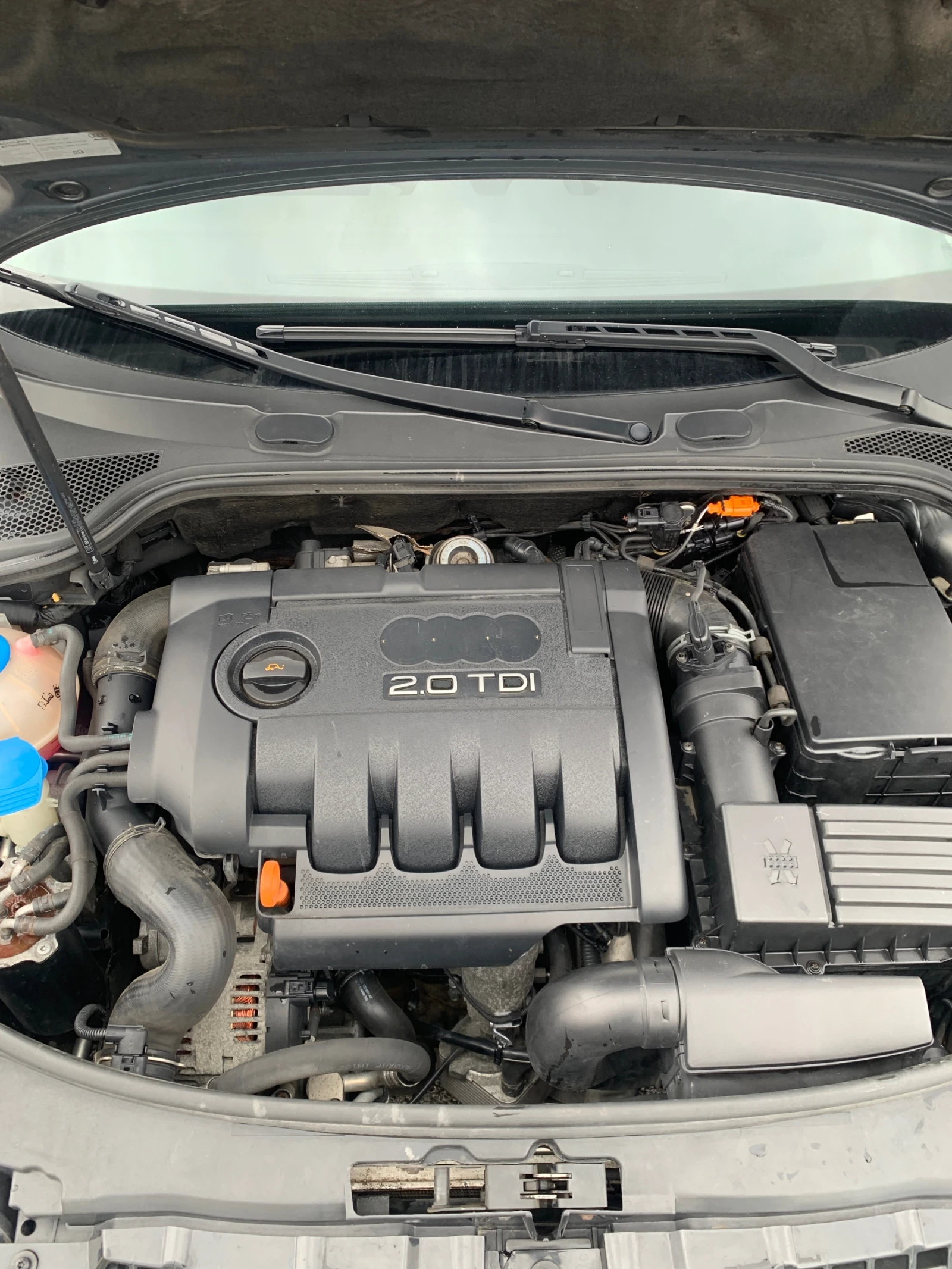 Audi A3 2.0 TDI BMM, снимка 16 - Автомобили и джипове - 54164764