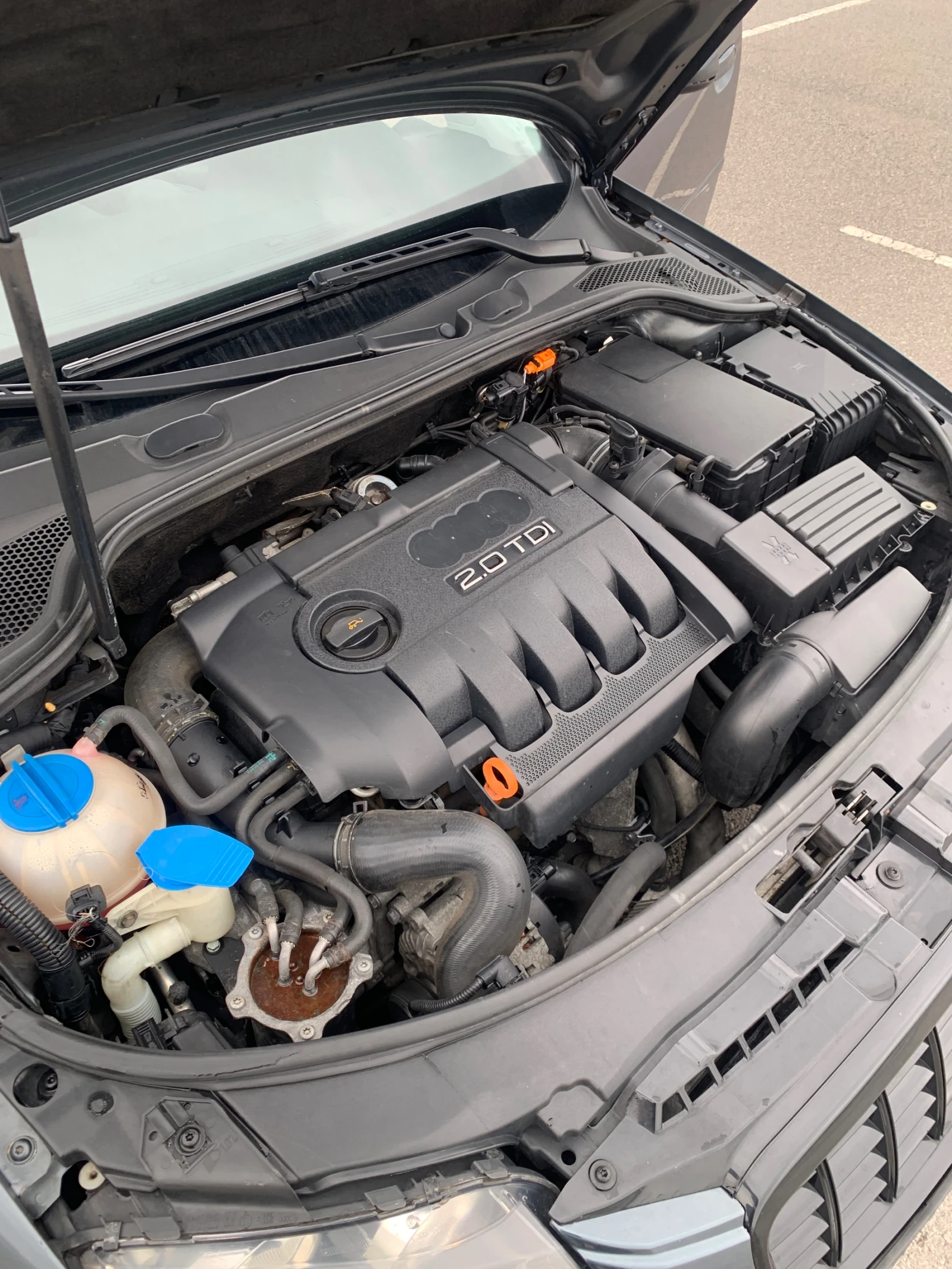 Audi A3 2.0 TDI BMM, снимка 17 - Автомобили и джипове - 54164764