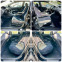 Обява за продажба на Honda Civic LPG ~11 500 лв. - изображение 11