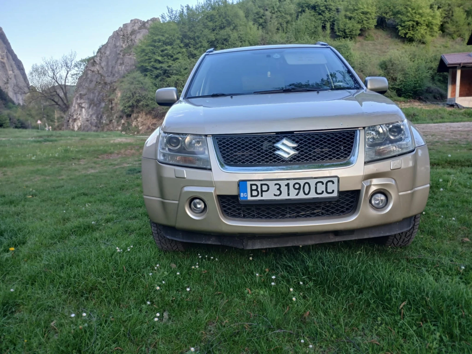 Suzuki Grand vitara 1.9 DDiS - изображение 5