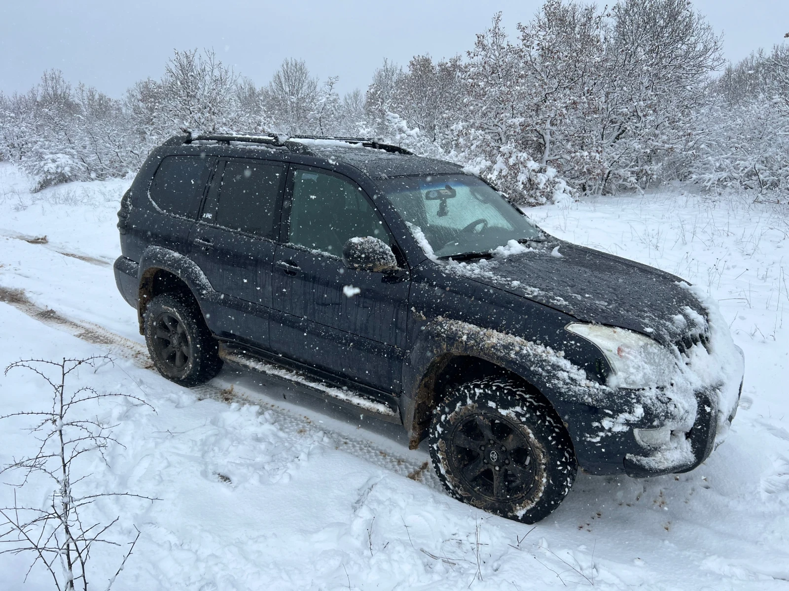 Toyota Land cruiser | Mobile.bg � ����������� 11