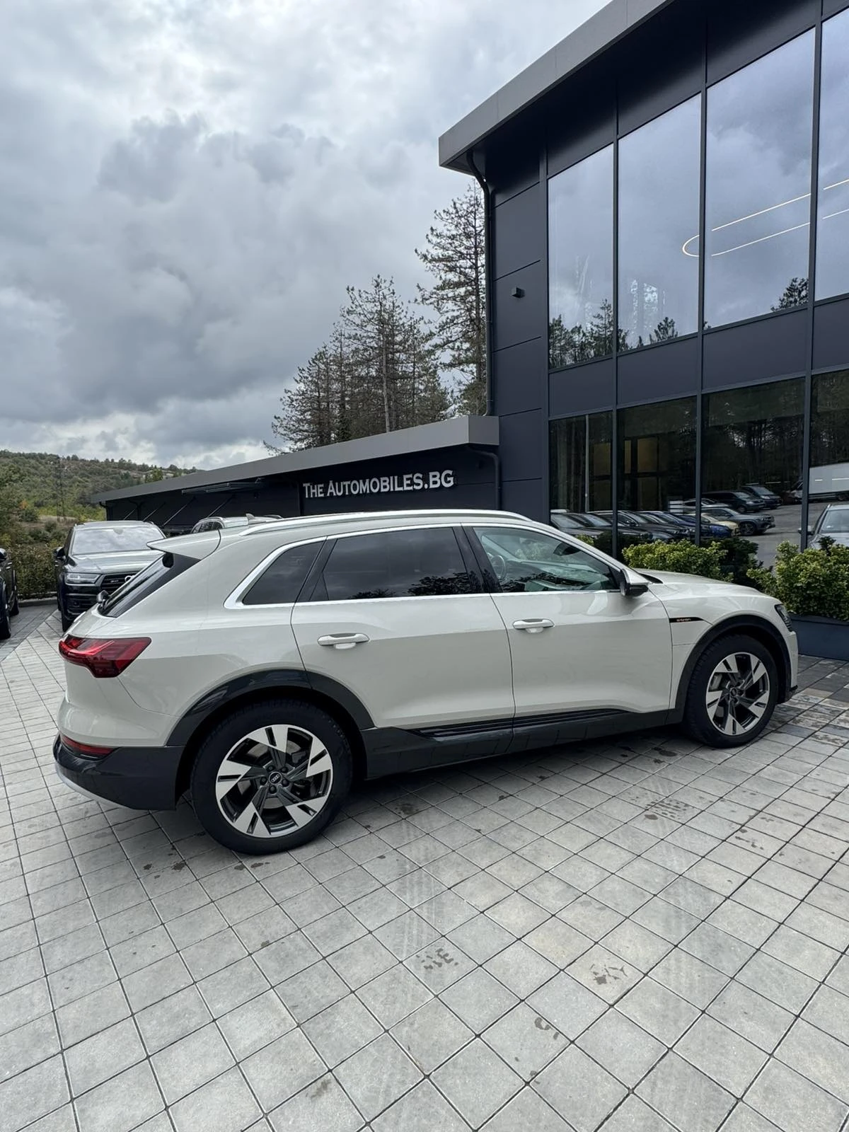 Audi E-Tron  - изображение 8