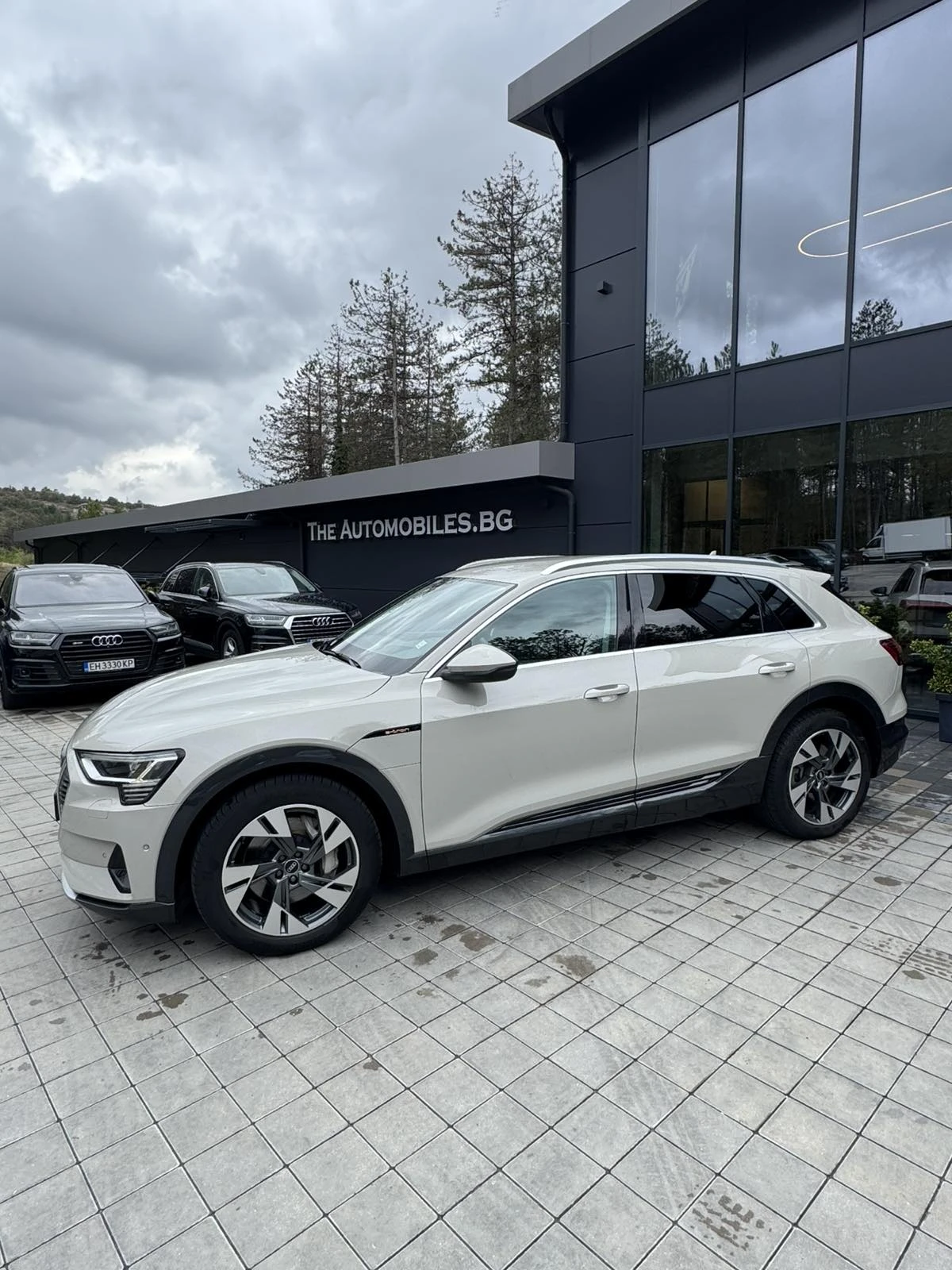 Audi E-Tron  - изображение 5