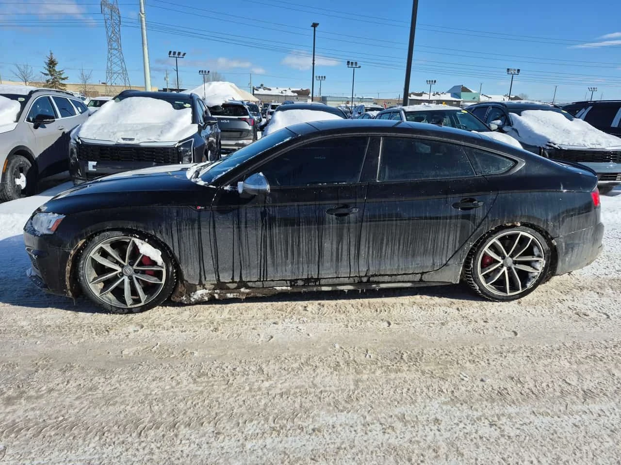 Audi S5 Technik/ПАНОРАМА/ПОДГРЕВИ/360 КАМЕРИ, снимка 3 - Автомобили и джипове - 54307329