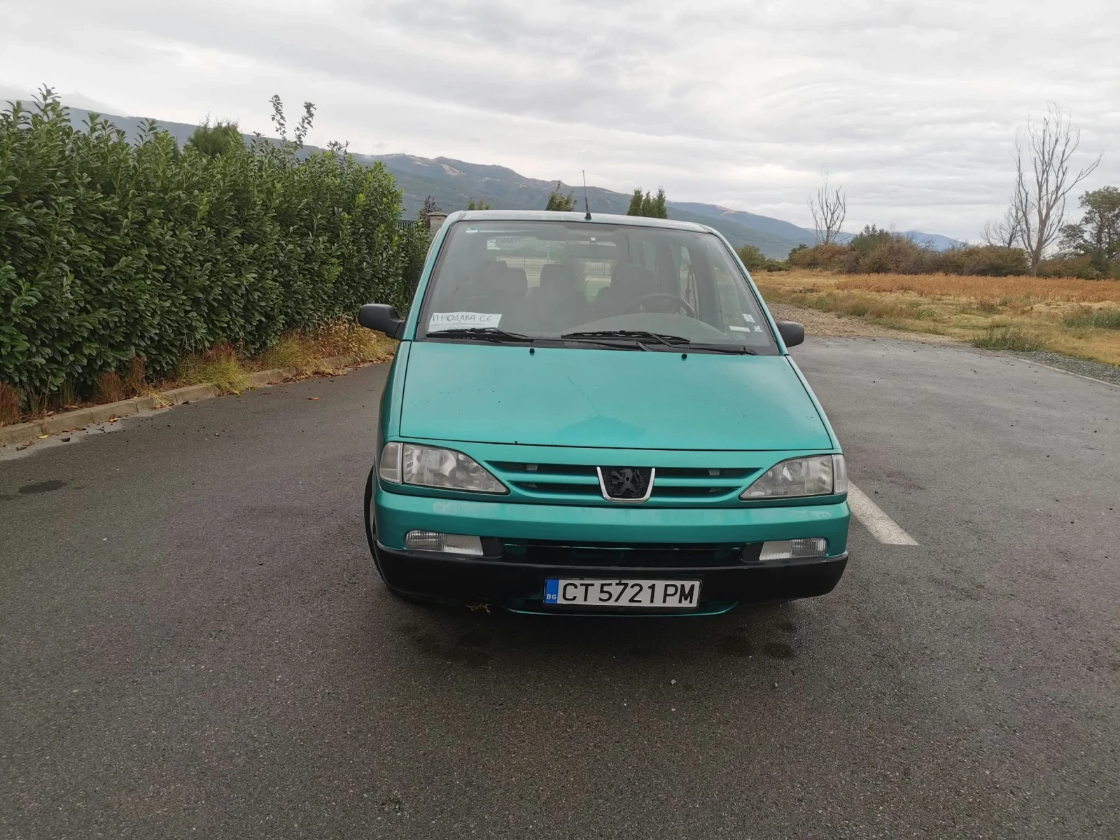 Peugeot 806