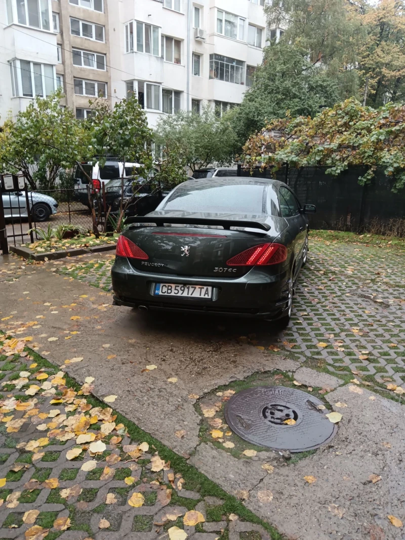 Peugeot 307 180кнс.Бензин /Газ, снимка 9 - Автомобили и джипове - 52306646
