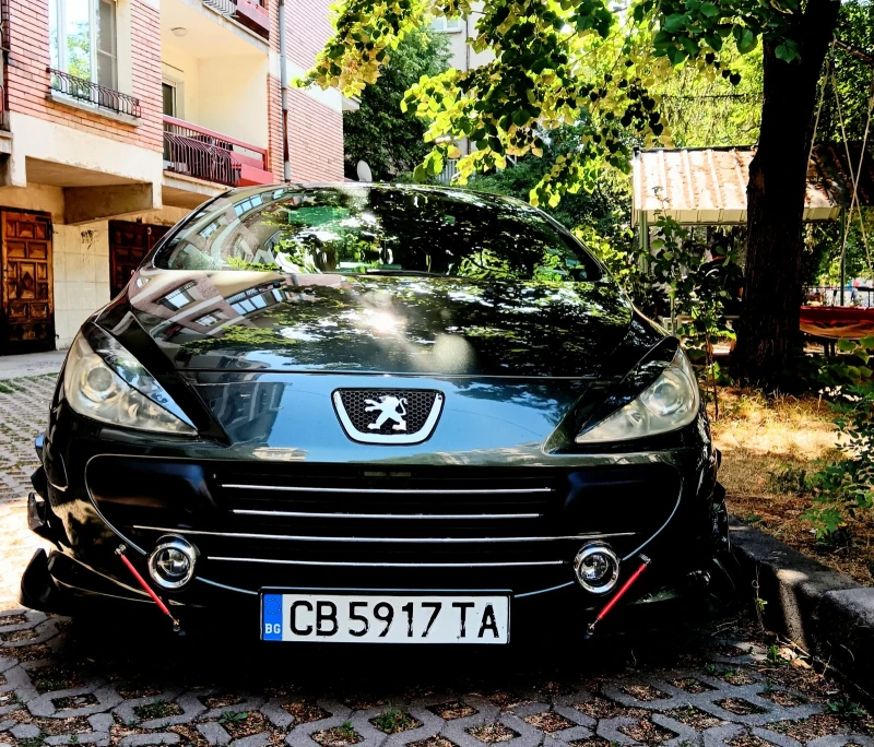 Peugeot 307 180кнс.Бензин /Газ, снимка 6 - Автомобили и джипове - 52306646