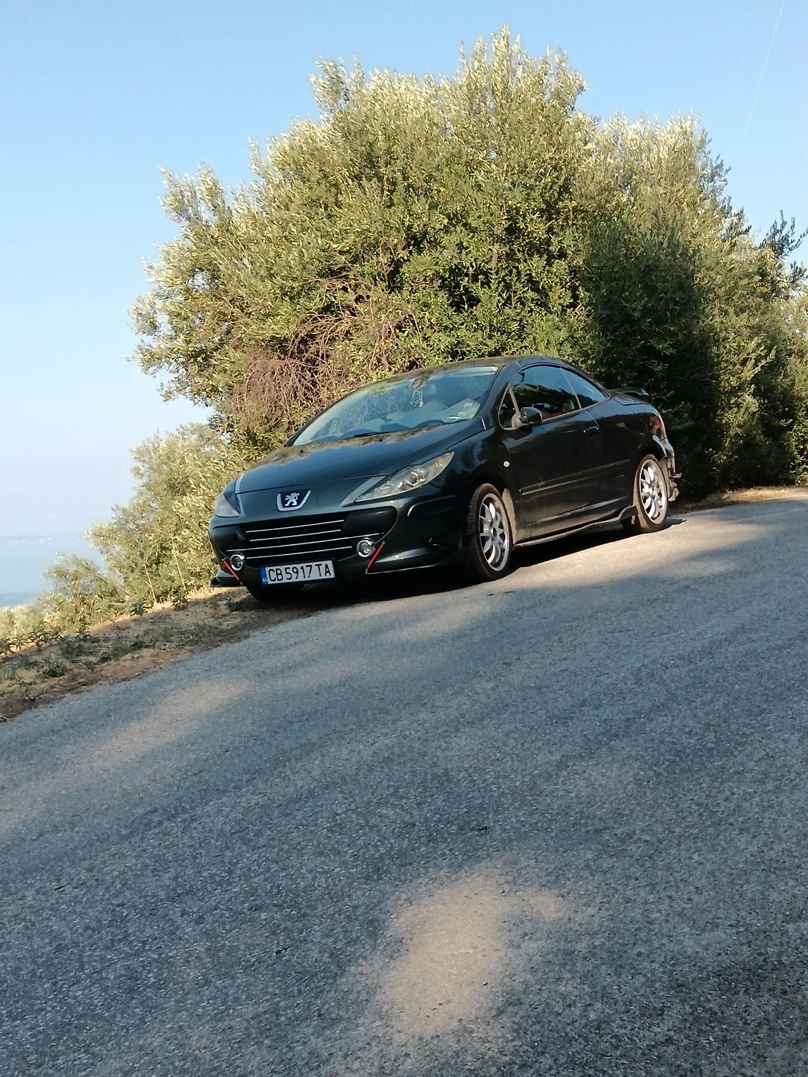 Peugeot 307 180кнс.Бензин /Газ, снимка 1