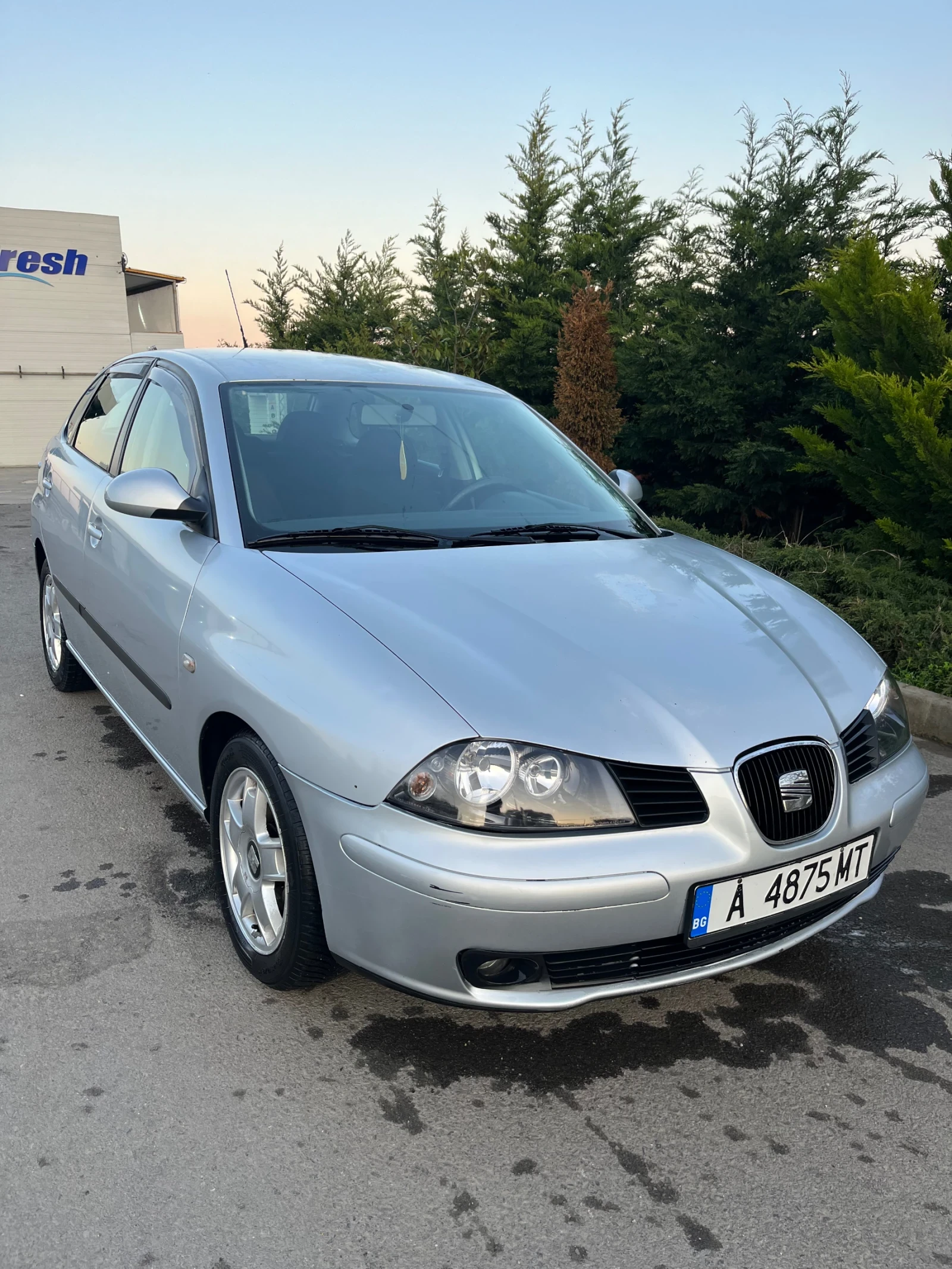 Seat Ibiza 1.4 TDI, снимка 2 - Автомобили и джипове - 54100848