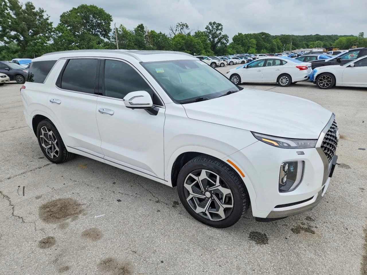 Hyundai Palisade 3.8l Calligraphy, снимка 4 - Автомобили и джипове - 54888486