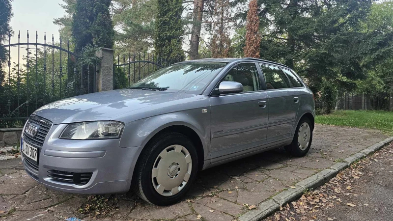 Audi A3 1.6, снимка 3 - Автомобили и джипове - 47380173