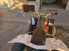 Yamaha Raptor, снимка 6