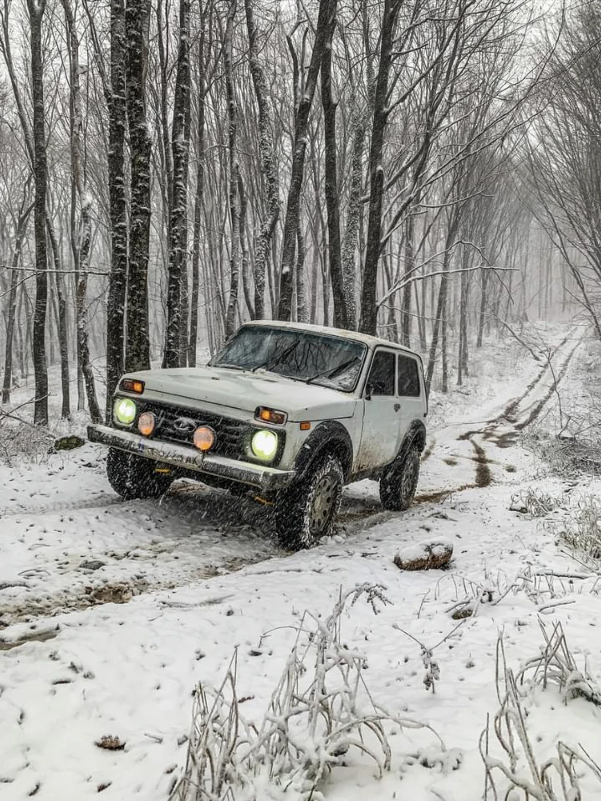 Lada Niva  - изображение 3
