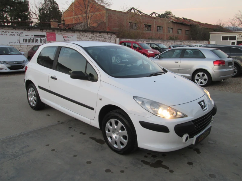 Peugeot 307 1.6HDI N1, снимка 3 - Автомобили и джипове - 48222823