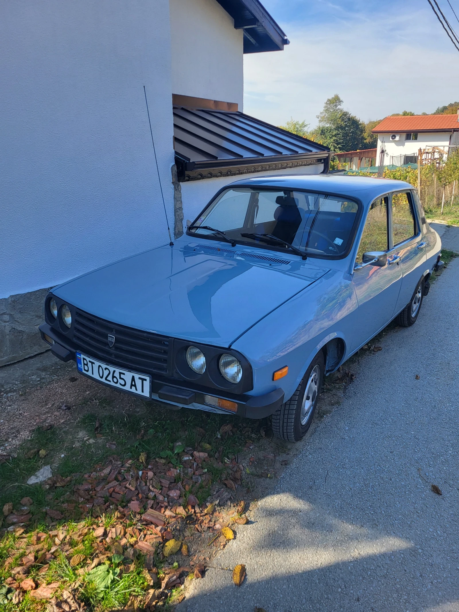 Dacia 1310
