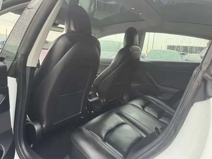 Tesla Model 3 STANDARD RANGE RWD* , снимка 10 - Автомобили и джипове - 54081998