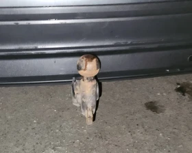 VW Tiguan 2.0 TDI  - 36000 лв. / 18406.51 € - 49946270 10