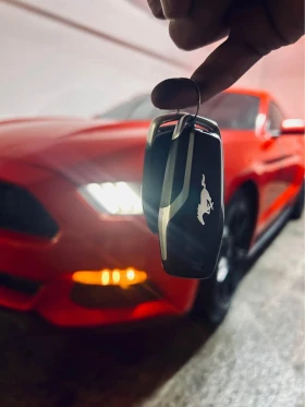 Ford Mustang * MANUAL* 2 KEYS* BACK UP CAMERA* NO CHECK*  - 14000 € / 27381.62 лв. - 43065667 4