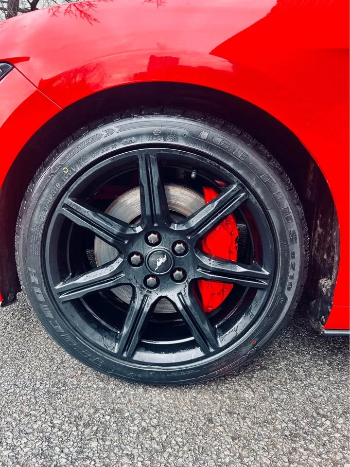 Ford Mustang * MANUAL* 2 KEYS* BACK UP CAMERA* NO CHECK*  | Mobile.bg � ����������� 7