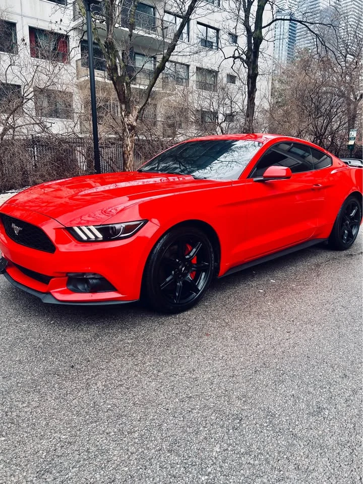 Ford Mustang * MANUAL* 2 KEYS* BACK UP CAMERA* NO CHECK*  | Mobile.bg � ����������� 2