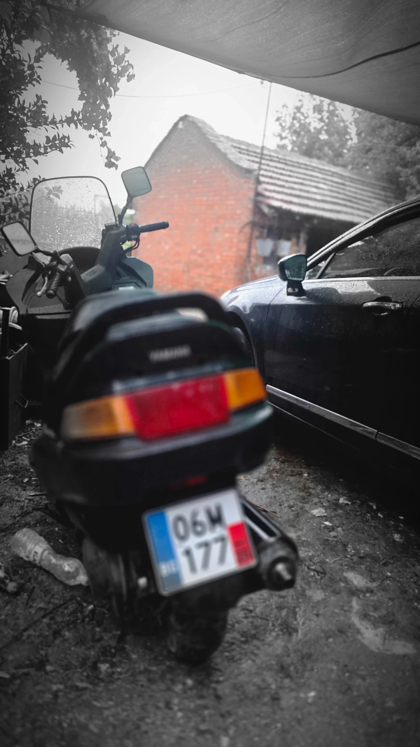 Yamaha Majesty 250 cm? - изображение 2