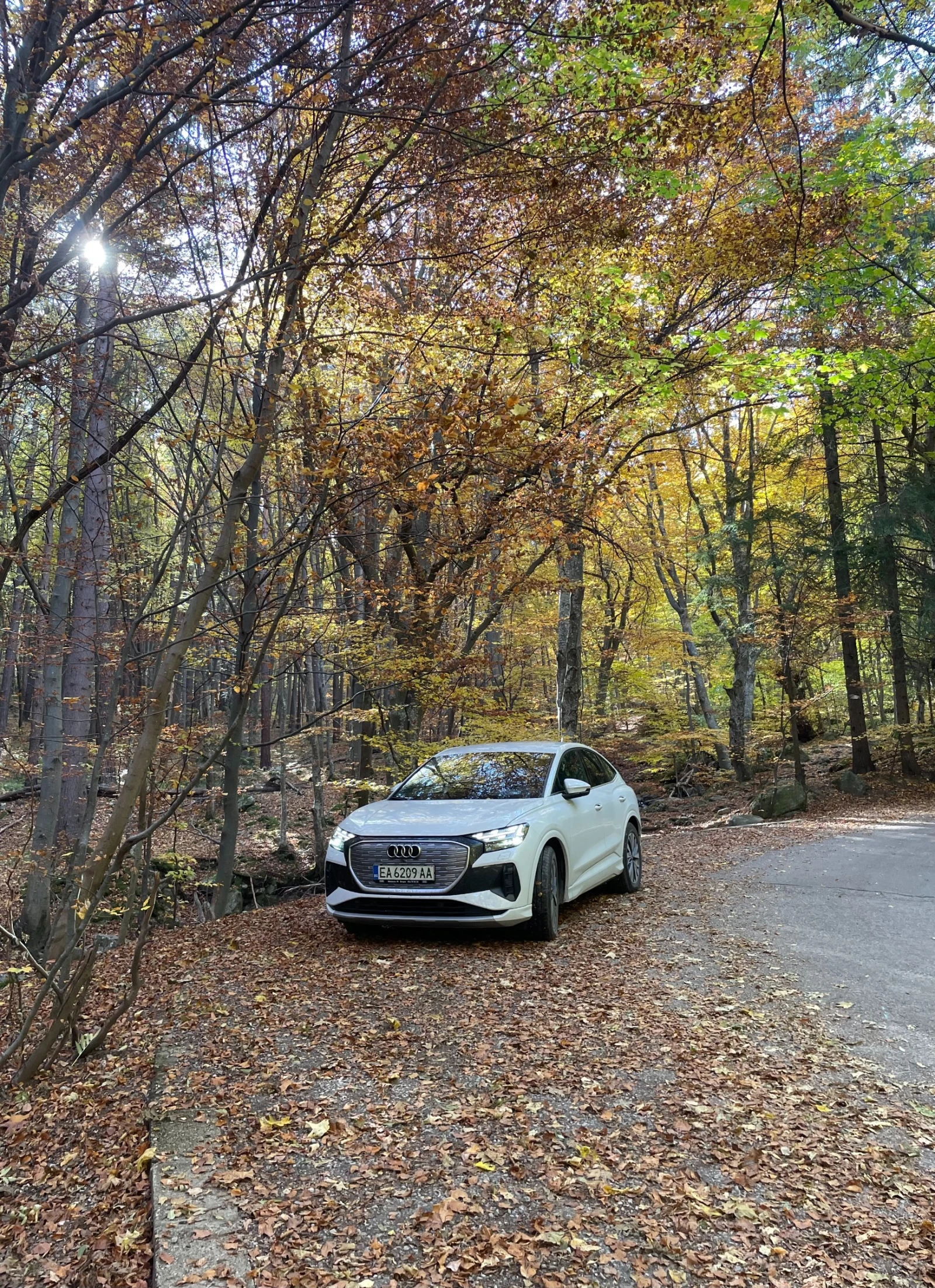 Audi Q4 E-tron 50 Sportback S design | Mobile.bg   10