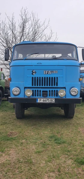     Ifa L  