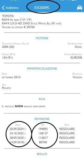 Toyota Rav4 2.0 D-4D, ПЪЛНА СЕРВ. ИСТОРИЯ !!!  , снимка 17