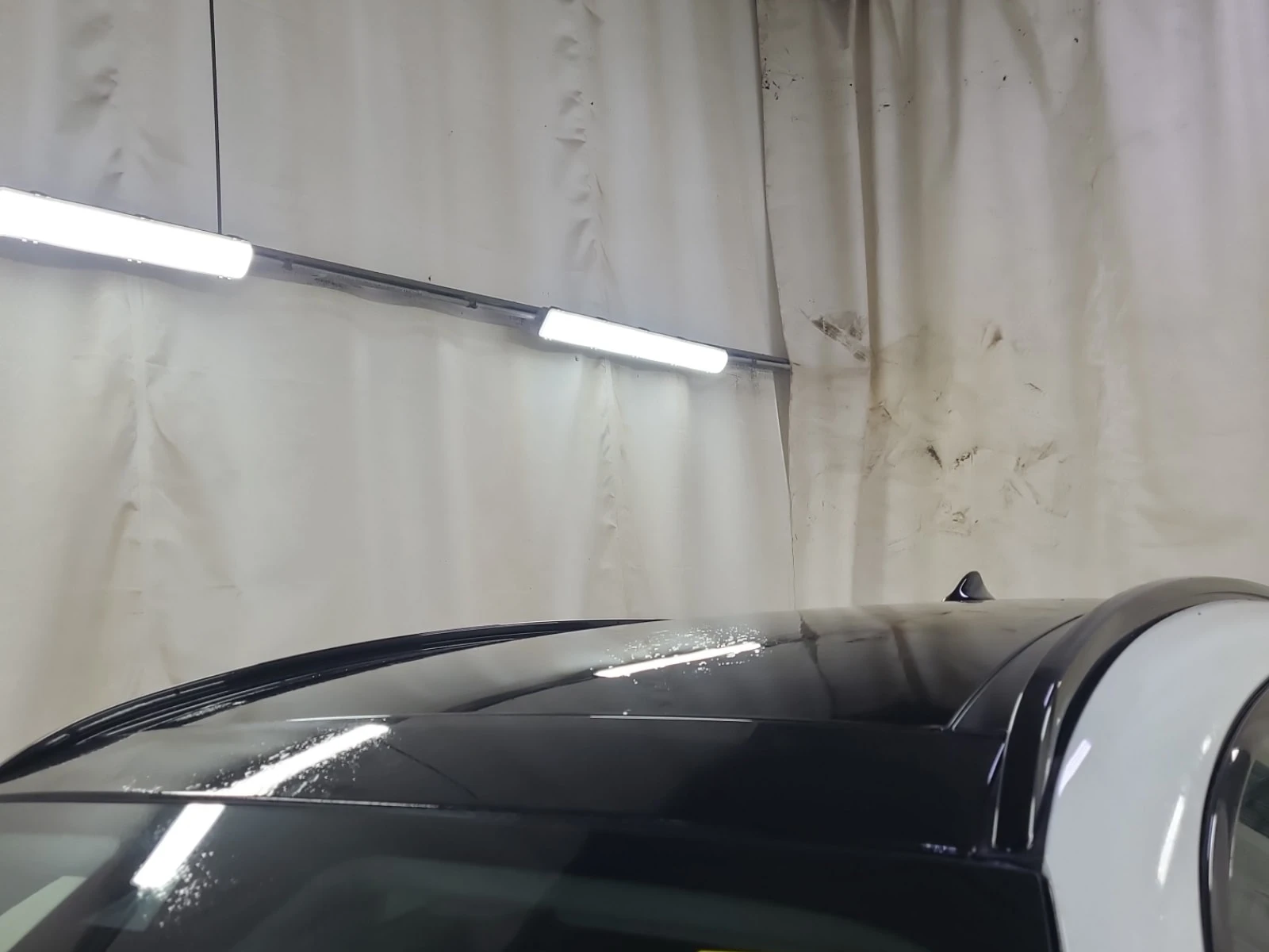 Alfa Romeo Stelvio 2.0T * TI * CARFAX * , снимка 7 - Автомобили и джипове - 56155563