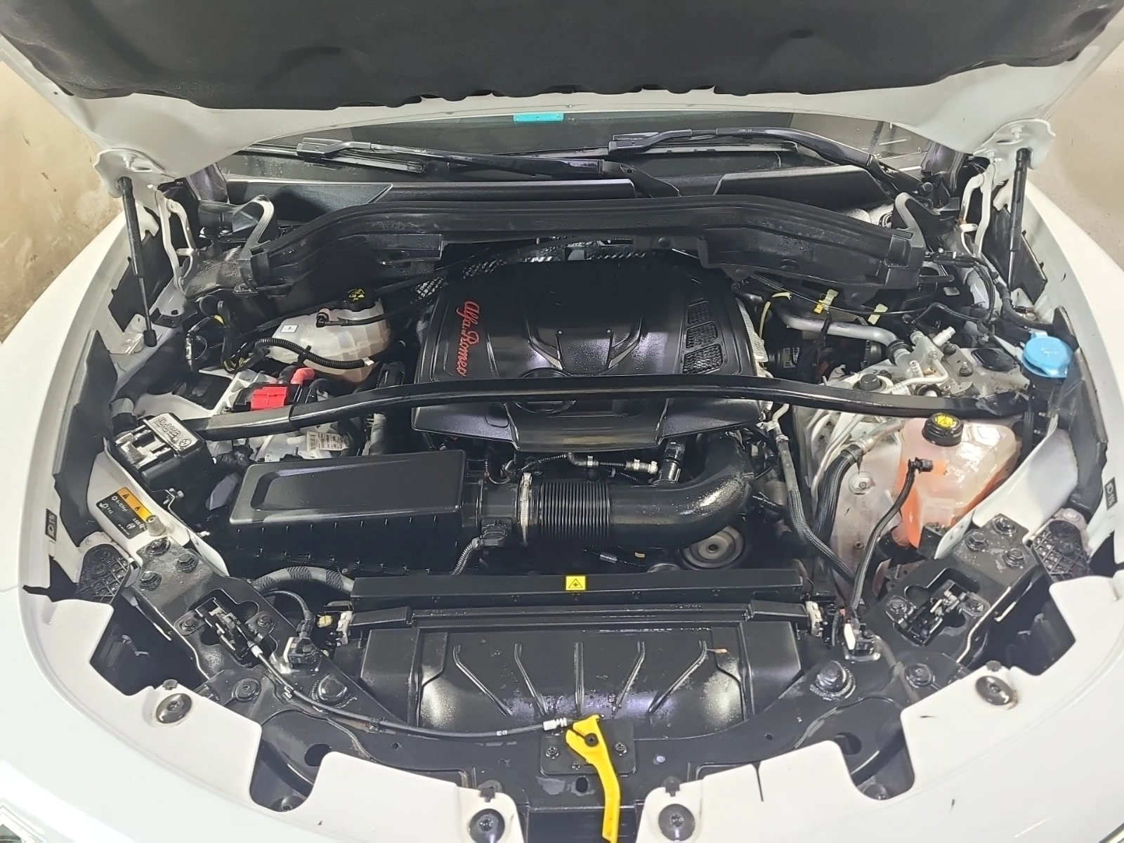 Alfa Romeo Stelvio 2.0T * TI * CARFAX * , снимка 16 - Автомобили и джипове - 56155563