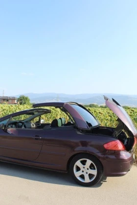 Peugeot 307, снимка 9