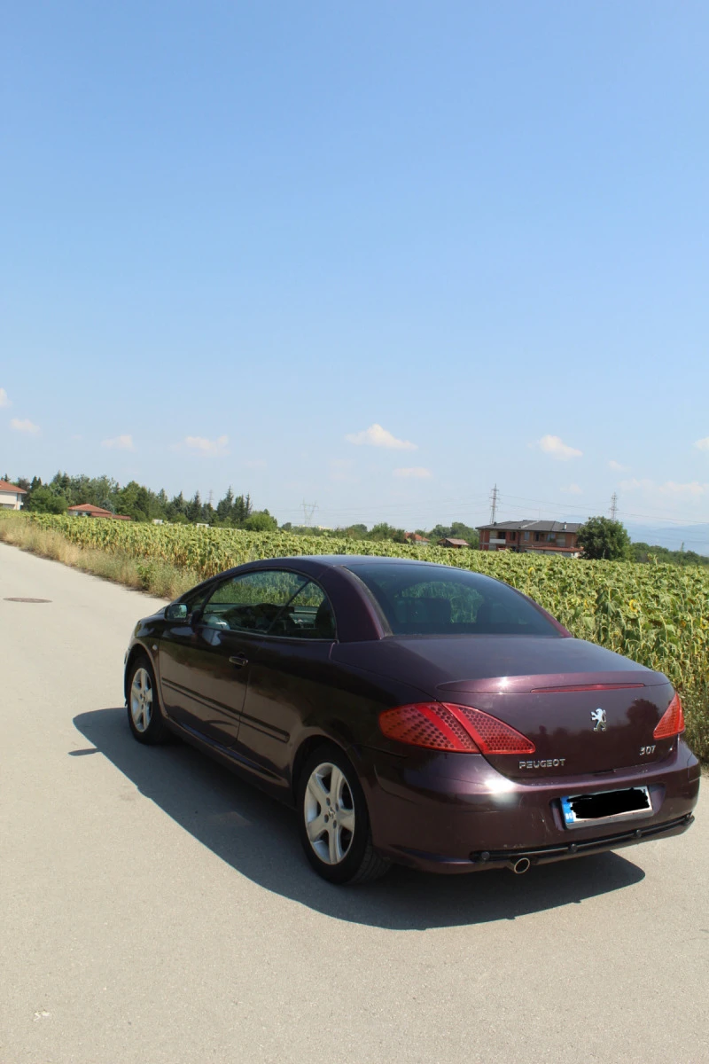 Peugeot 307, снимка 12 - Автомобили и джипове - 49195694