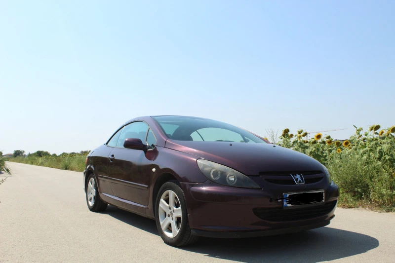 Peugeot 307, снимка 13 - Автомобили и джипове - 49195694