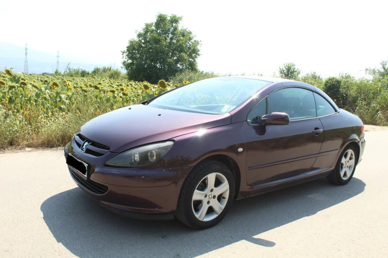 Peugeot 307, снимка 14 - Автомобили и джипове - 46676707