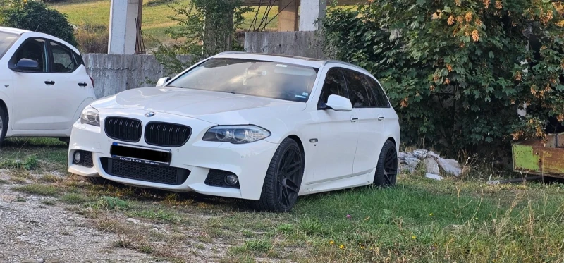 BMW 525 3.0d, снимка 1 - Автомобили и джипове - 48069494