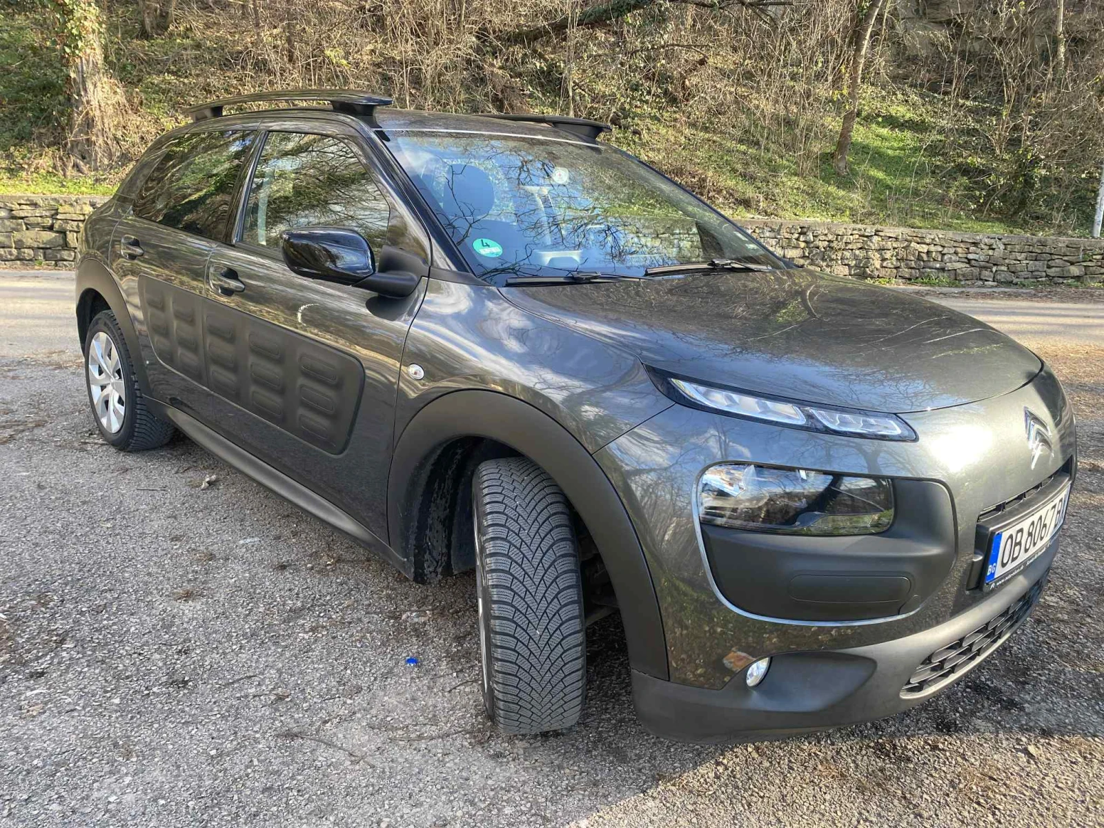 Citroen C4 Cactus, снимка 1