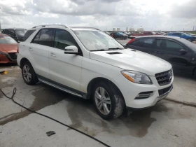  Mercedes-Benz ML 350