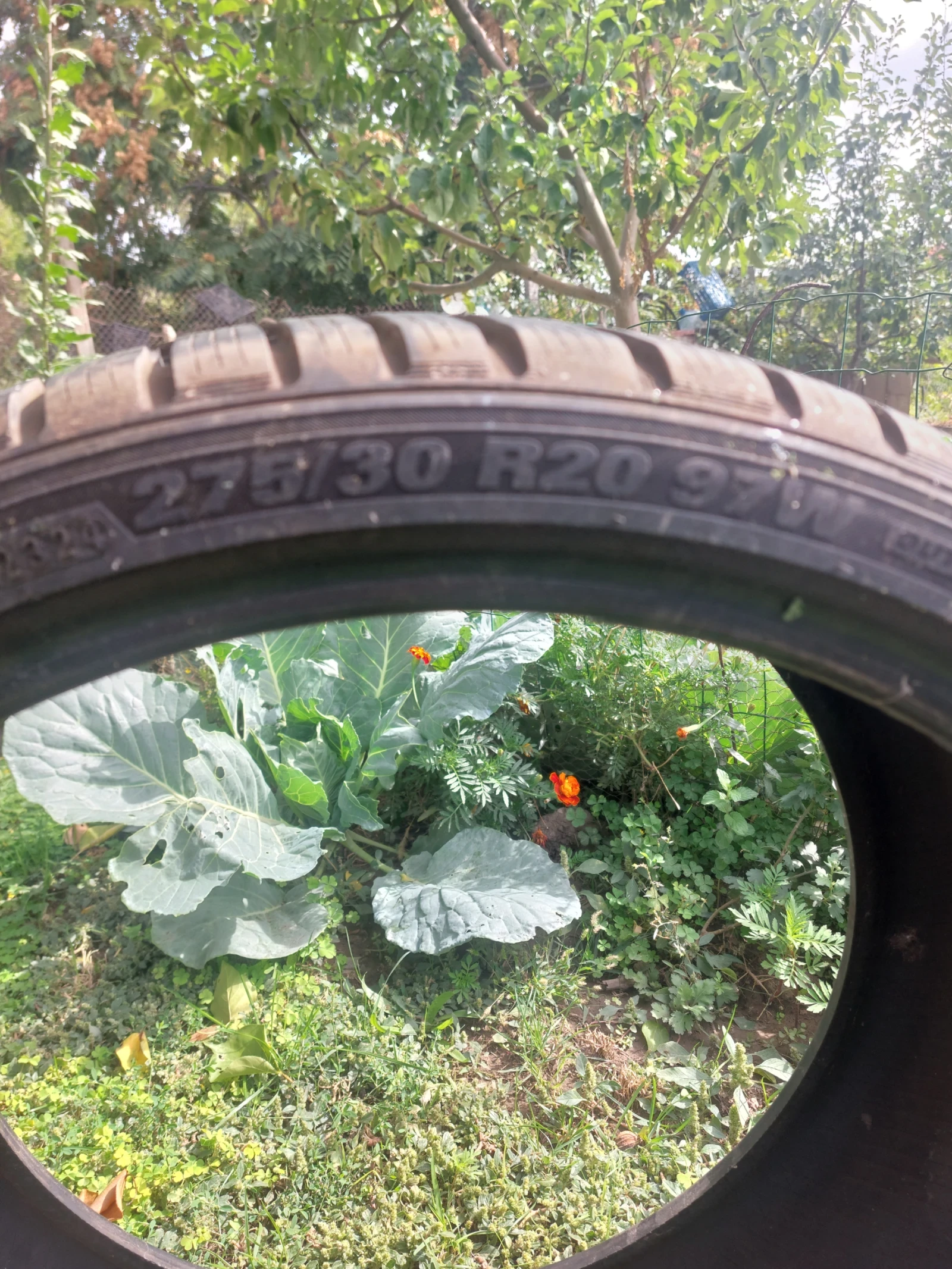 Гуми Зимни 275/30R17, снимка 5 - Гуми и джанти - 56293063