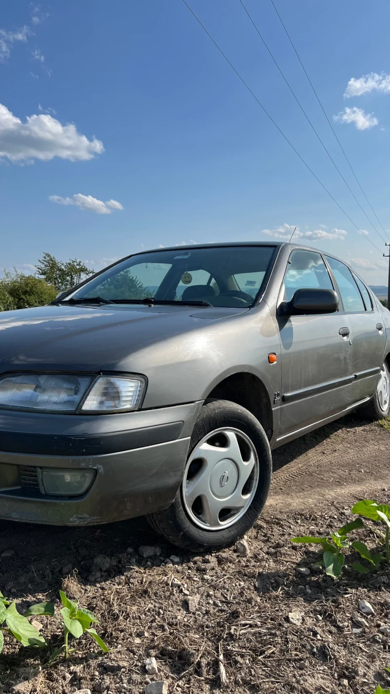 Nissan Primera, снимка 13 - Автомобили и джипове - 53231215