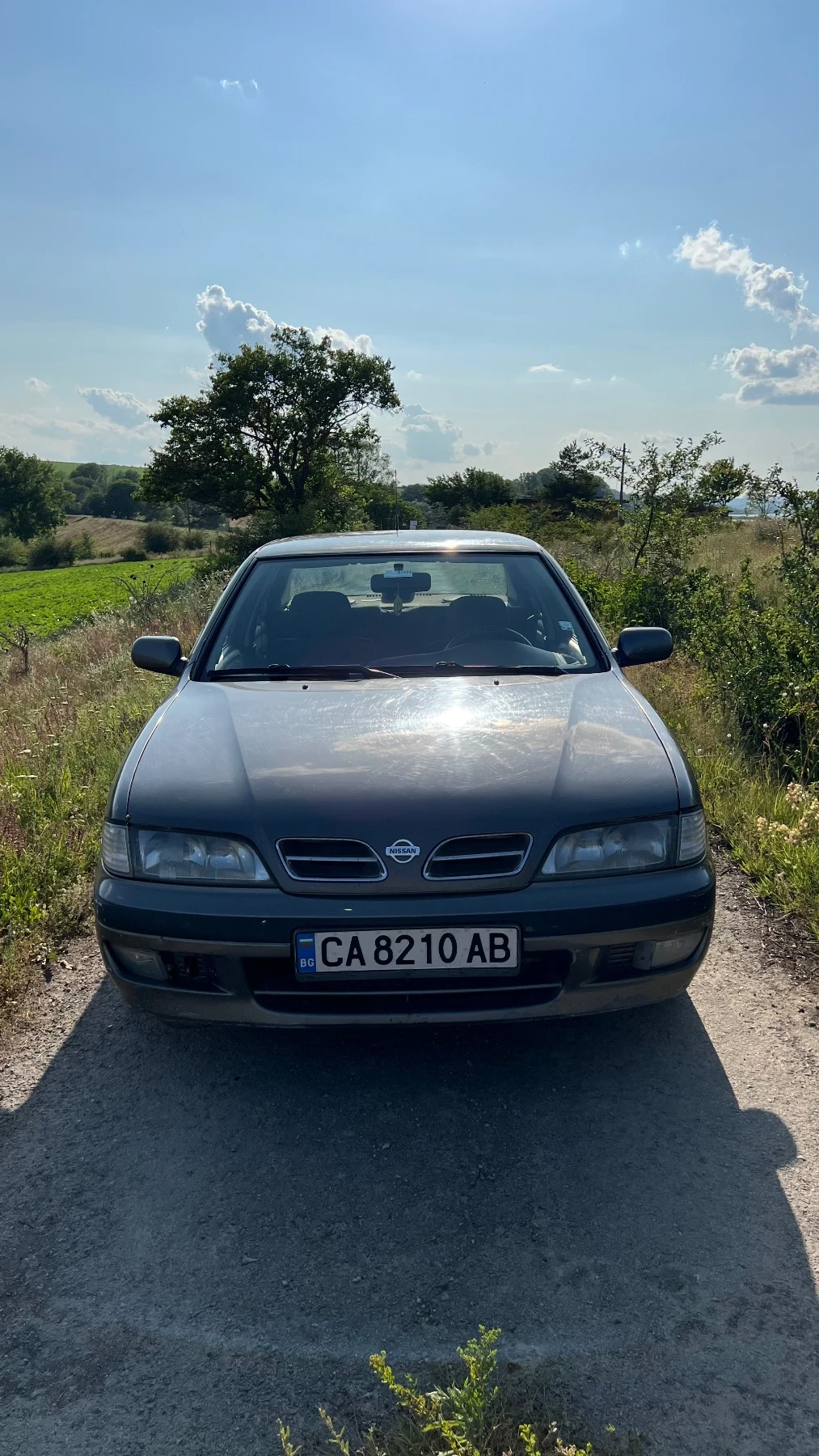 Nissan Primera, снимка 1