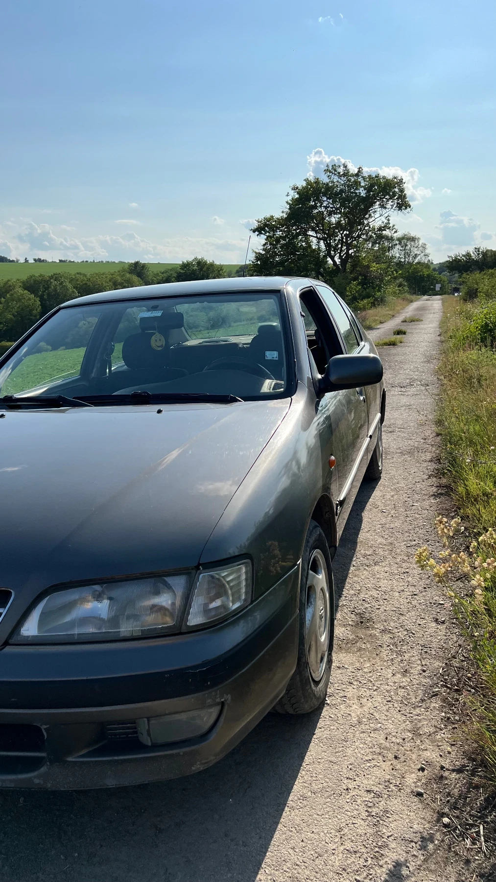 Nissan Primera  - изображение 3