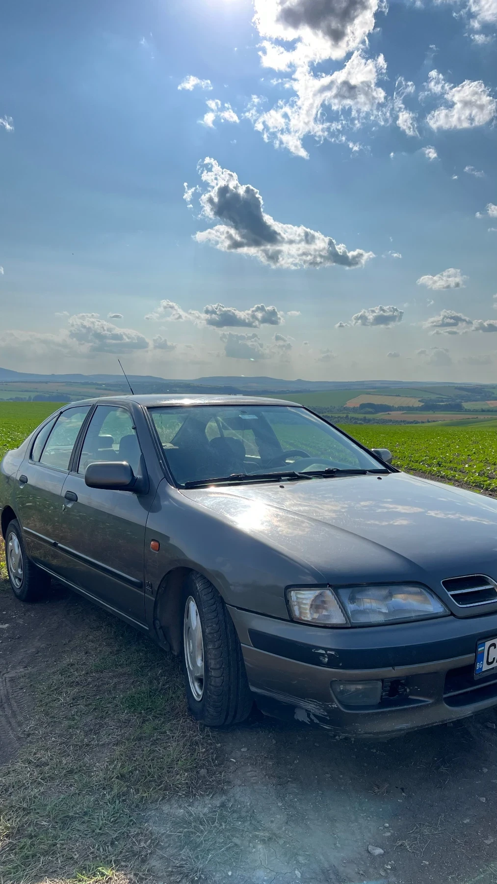 Nissan Primera  - изображение 2