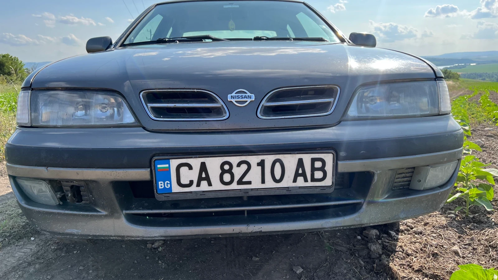 Nissan Primera  - изображение 6