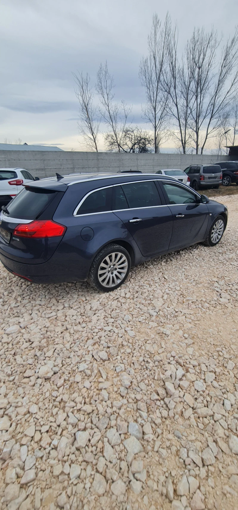 Opel Insignia, снимка 11 - Автомобили и джипове - 47308041