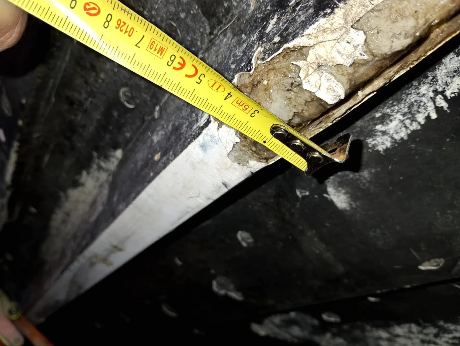 ����� Bayliner | Mobile.bg � ����������� 14