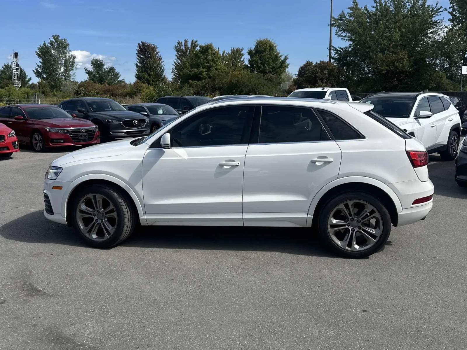 Audi Q3 * CARFAX* АВТОФИНАНСИРАНЕ БЕЗ ПЪРВОНАЧАЛНА ВНОСКА! - изображение 3