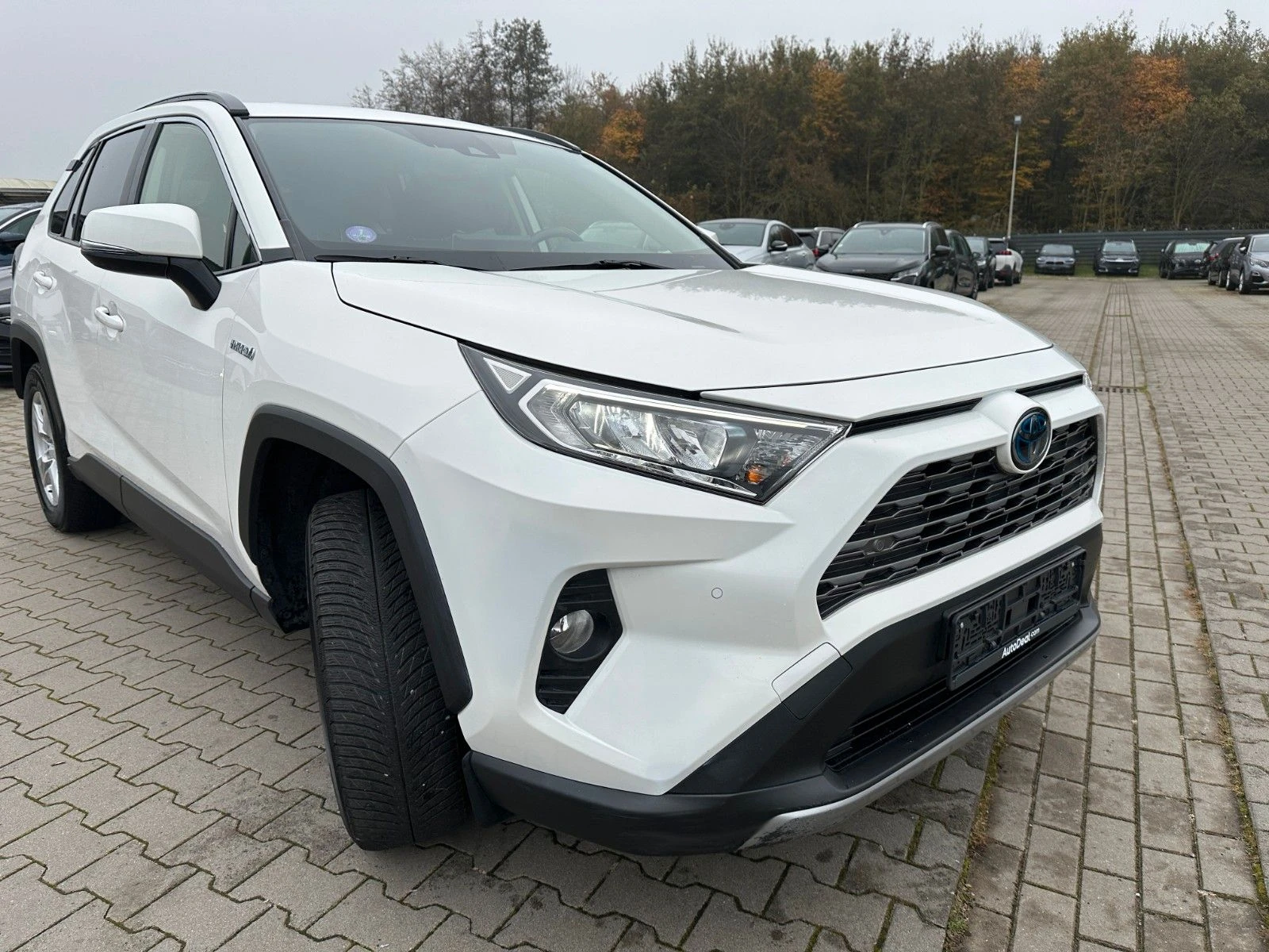 Toyota Rav4 2, 5 Hybrid 4x4 Comfort - изображение 5