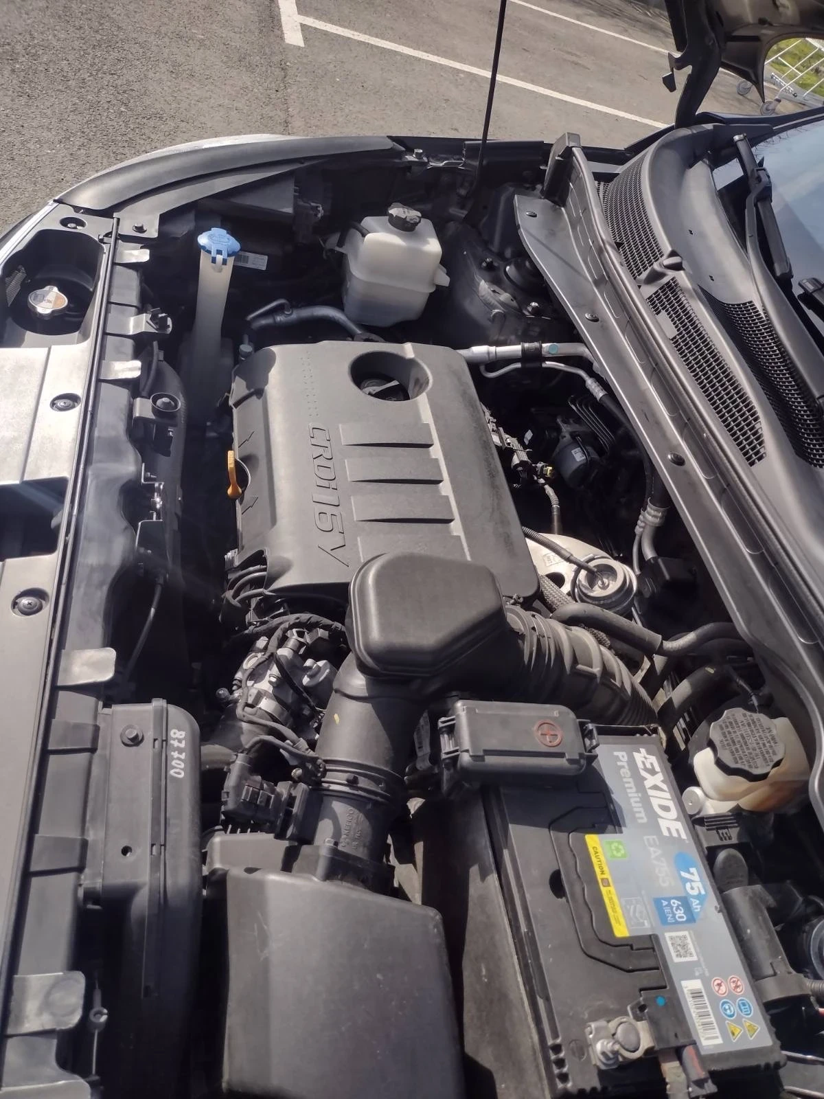 Kia Sportage, снимка 7 - Автомобили и джипове - 53755862