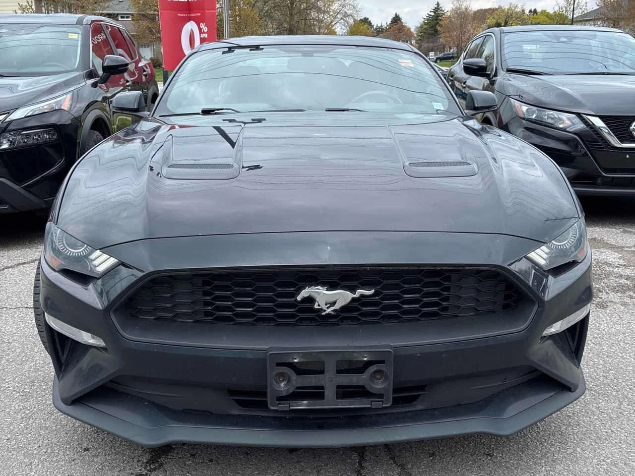 Ford Mustang * EcoBoost Premium Fastback * CARFAX * ���� �� �� | Mobile.bg � ����������� 6